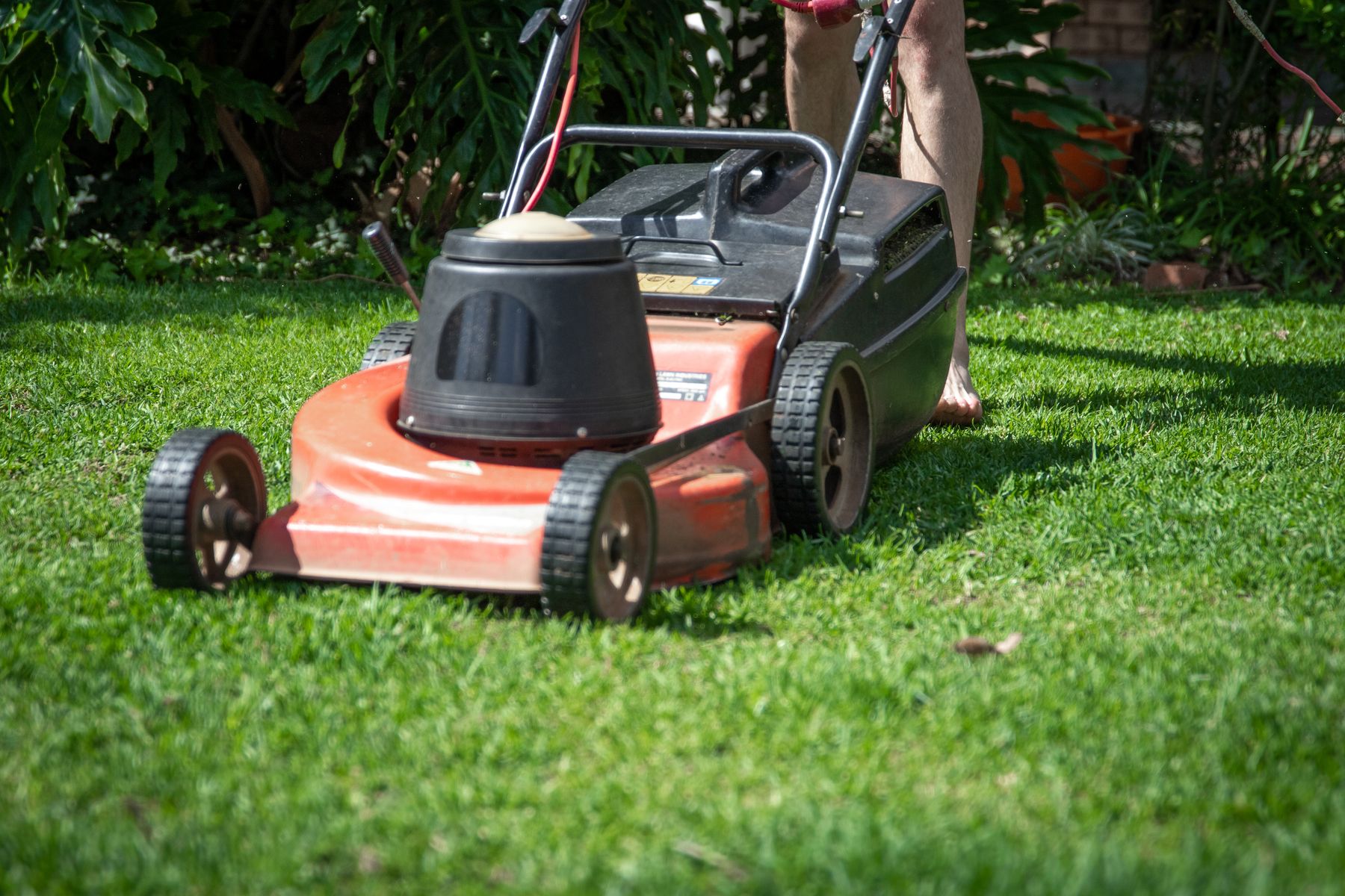 A lawn mower cutting healthy green grass